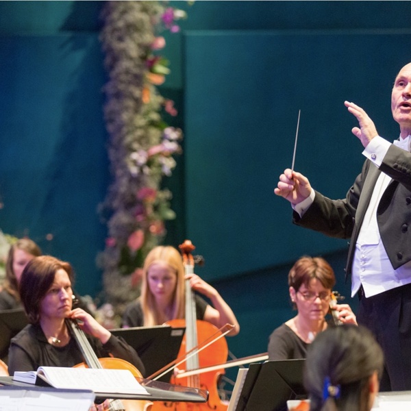 Komorni orkester iz Waidhofna ob Ybbsu, foto: Gledališče Koper