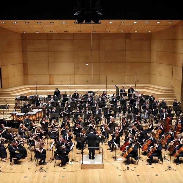 Simfonični orkester RTV Slovenija, foto: Gledališče Koper
